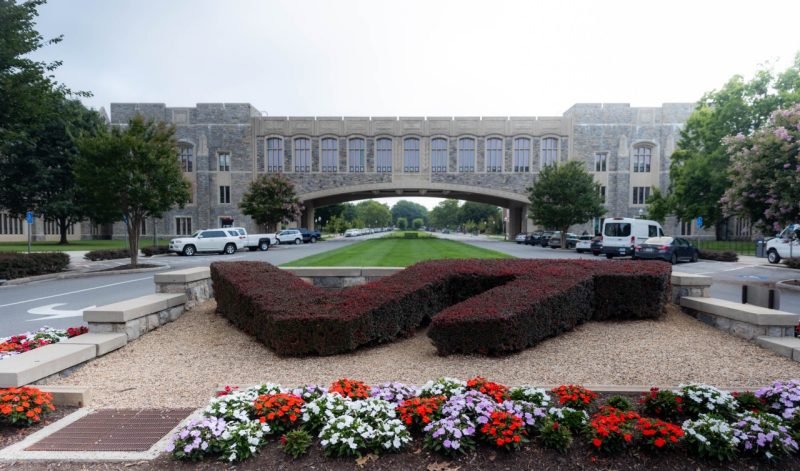 red bush planted in shape of VT in front of campus bridge